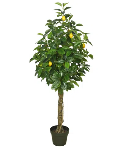 Vickerman 51" Artificial Real Touch Lemon Tree In No Color
