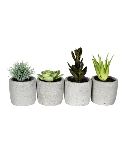 Vickerman 6" Artificial Assorted Potted Succulents, Set Of 4. In Green