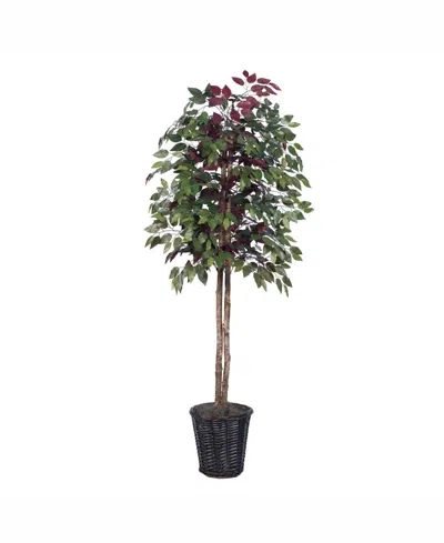 Vickerman 6' Artificial Capensia Tree In No Color