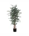 Vickerman 6' Artificial Variegated Ficus Executive In No Color