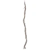 Vickerman 6' Brown Twig Garland X 6 In Brown