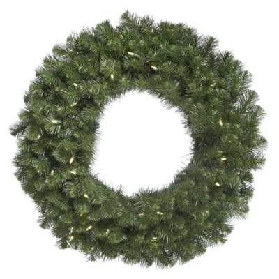 Vickerman 60" Douglas Fir Christmas Wreath With 200 Warm White Led Lights" In Green