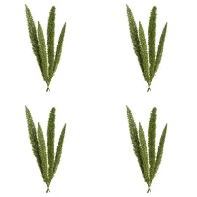 Vickerman 8 Plant In Green