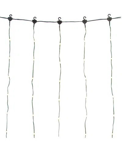Vickerman 800-light 10ft Remote Controlled Led Curtain End-connecting Light Set In Black