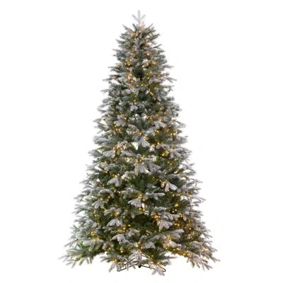 Vickerman 9' X 66" Frosted Douglas Fir Artificial Tree, Warm White Led Wide Angle Lights