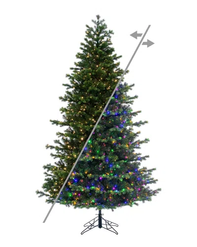 Vickerman 9ft Black Hills Spruce In Green