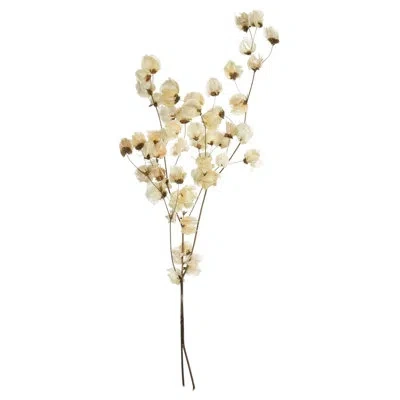 Vickerman Cara Blossom Spray Cara Blossom Arrangement In Cream