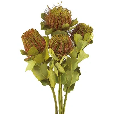 Vickerman Coccinea Arrangement In Green