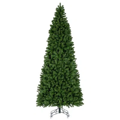 Vickerman Deluxe Sequoia Pine Artificial Slim Unlit Christmas Tree. In Green
