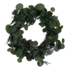 Vickerman Dollar Populus Eucalyptus 6" Polyester Wreath In Green