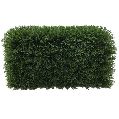 Vickerman Everyday Green Cedar Hedge