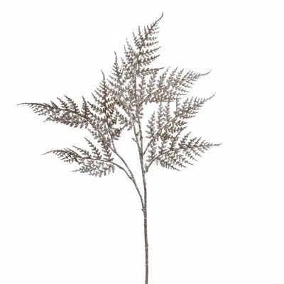 Vickerman Glitter Asparagus Spray In Gold