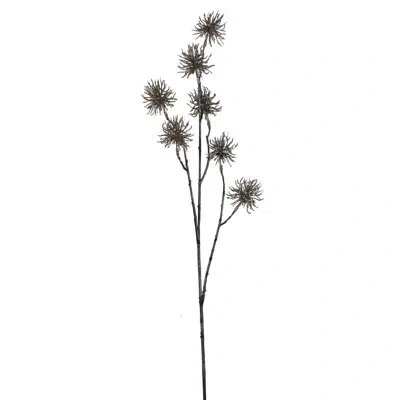 Vickerman Glitter Urchin Poinsettia Spray In Brown