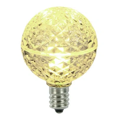 Vickerman Light Bulb
