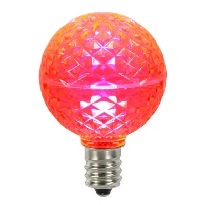 Vickerman Light Bulb In Pink