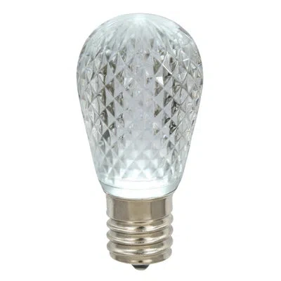 Vickerman Light Bulb In White