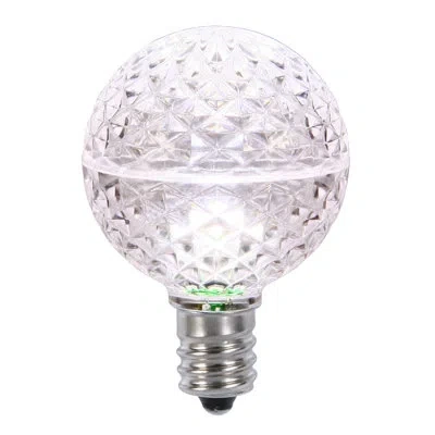 Vickerman Light Bulb In Transparent