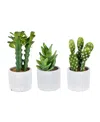 Vickerman Set Of 3 Assorted 7" Potted Artificial Cactus Plants, Set Of 3 In Green