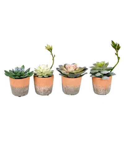 Vickerman Set Of 4 Assorted 7" Artificial Potted Succulents, Set Of 4 In Green
