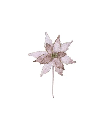 Vickerman Set Of 6 Champagne Poinsettia Stems In Pink