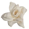 Vickerman Stem In Cream