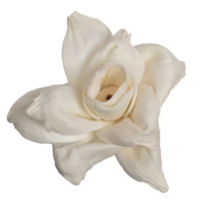 Vickerman Stem In Cream