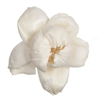 Vickerman Stem In Cream