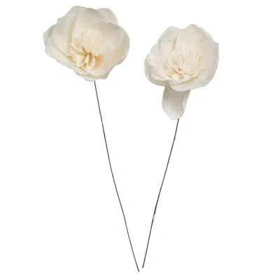 Vickerman Stem In Cream