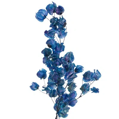 Vickerman Stem In Blue