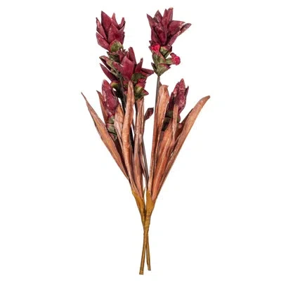 Vickerman Stem In Red