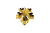 Vickisarge Women's Big Leaf Pin In Gold In Gold
