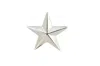 Vickisarge Women's Big Star Pin In Silver In Silver