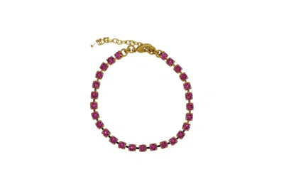 Vickisarge Women's Pink / Purple The Pink Tennis Bracelet In Gold In Multi