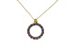 Vickisarge Women's The Purple Hoop Necklace In Gold - Long In Purple