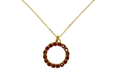 Vickisarge Women's The Red Hoop Necklace In Gold - Long