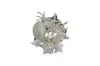 Vickisarge Women's White / Silver Luminescent Brooch