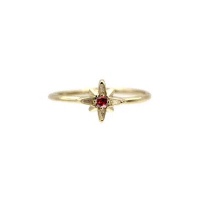 Vicstonenyc Fine Jewelry Women's Rose Gold Natural Garnet With North Star Design Rose Solid Gold Ring  January Birth Stone