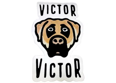 Pre-owned Victor Victor X I Know Nigo Rug White