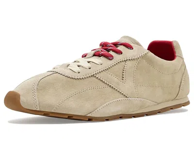 Victoria Aster In Sand