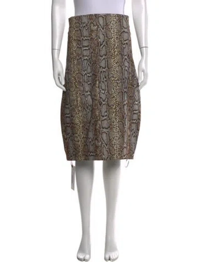Pre-owned Victoria Beckham Animal Print Midi Length Skirt In Brown