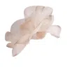 Victoria Charles Headpieces Women's Neutrals / Gold / White Signature Ivory Crin Headpiece With Gold Edge Detail On Ivory Satin In Gold/white