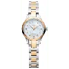 Victorinox Swiss Army Alliance Xs Quartz White Mother Of Pearl Crystal Dial Two-tone Steel Women's Watch 241877 In Multi
