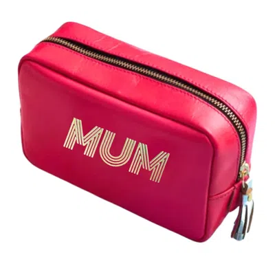 Vida Vida Mum Pink Leather Make-up Bag With Silver Tassel
