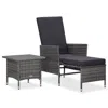 Vidaxl 2 Piece Garden Lounge Set With Cushions Poly Rattan Gray, 310233