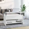 Vidaxl Coffee Table White 31.5"x19.7"x15.7" Engineered Wood