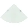 Vidaxl Corner Shelf With Chrome Supports Glass White 9.8"x9.8", 243858