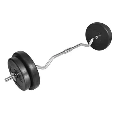 Vidaxl Curl Bar With Weights 66.1 Lb