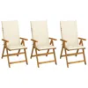 Vidaxl Folding Garden Chairs 3 Pcs With Cushions Solid Acacia Wood, 3064091