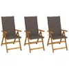 Vidaxl Folding Garden Chairs 3 Pcs With Cushions Solid Acacia Wood, 3064097