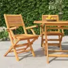 Vidaxl Folding Patio Chairs 2 Pcs 21.7"x24.4"x35.4" Solid Wood Teak